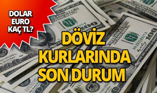 6 Şubat 2019 Döviz kurlarında son durum