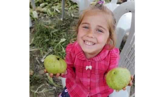 6 yöresel ürün TÜRKPATENT'ten coğrafi işaret aldı