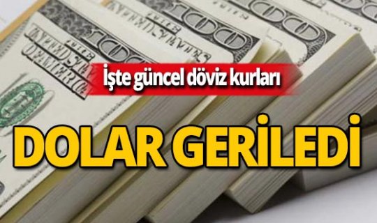 7 Ağustos 2019 Döviz kurlarında son durum