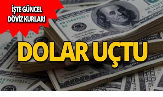 7 Mayıs 2019 Döviz kurlarında son durum