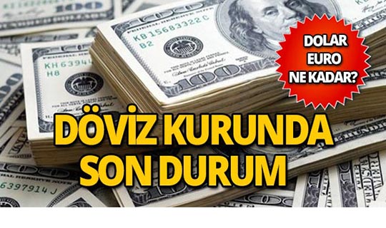 8 Ekim 2018 Döviz kurunda son durum