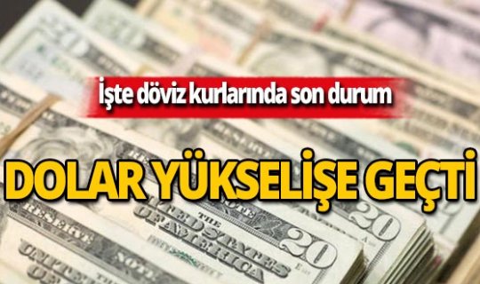 8 Ekim 2019 Döviz kurlarında son durum