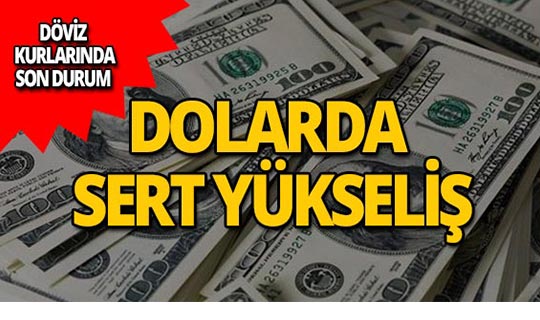 8 Mayıs 2019 Döviz kurlarında son durum