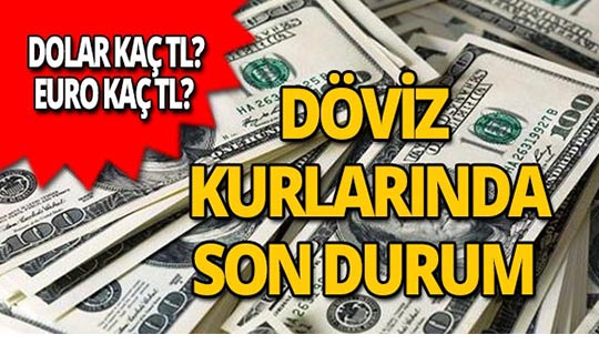 8 Ocak 2019 Döviz kurlarında son durum