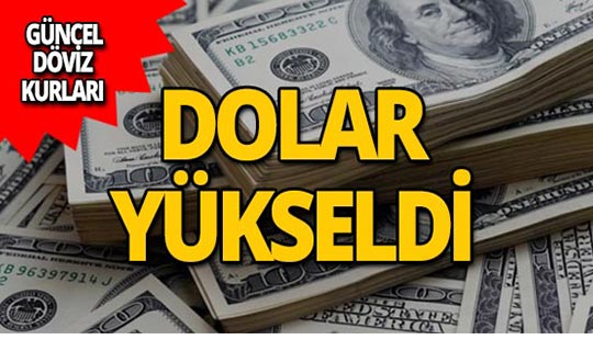 8 Temmuz 2019 Döviz kurlarında son durum