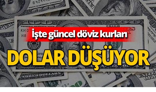 9 Ağustos 2019 Döviz kurlarında son durum