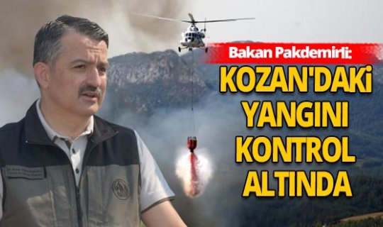 Adana Kozan'daki orman yangını kontrol altına alındı