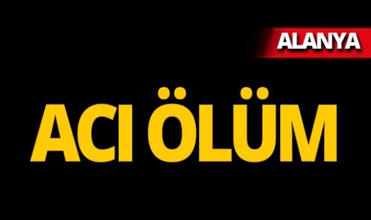 Alanya'da ağaç budamak isterken canından oldu