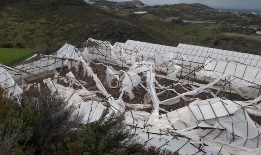 Alanya’da hortum 80 dekarlık alandaki seraları yerle bir etti