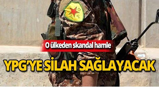 Amerika'nın çekilmesine üzülen ülke, YPG'ye destek verecek