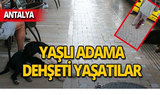 Antalya'da 80 yaşındaki adama dehşeti yaşattılar