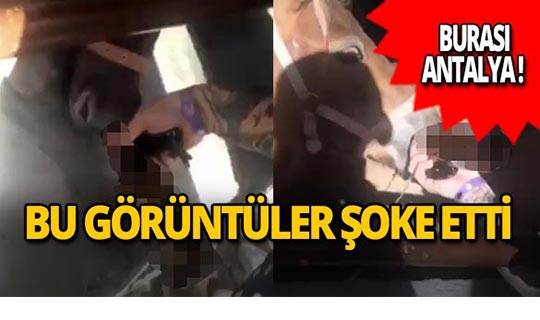 Antalya'da bu görüntüler karakolluk etti!