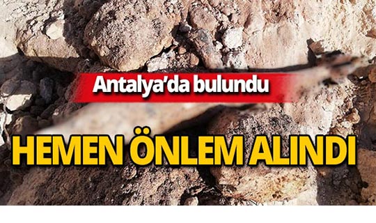 Antalya'da bulundu, polis hemen önlem aldı!