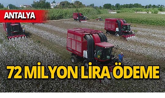 Antalya'da çiftçiye 72 milyon lira ödeme!