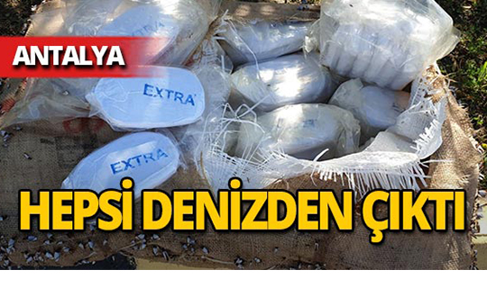 Antalya'da denizden çıktı, ekipler şoke oldu!