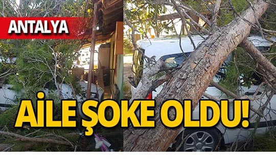 Antalya'da evin ve arabanın üzerine devrildi!