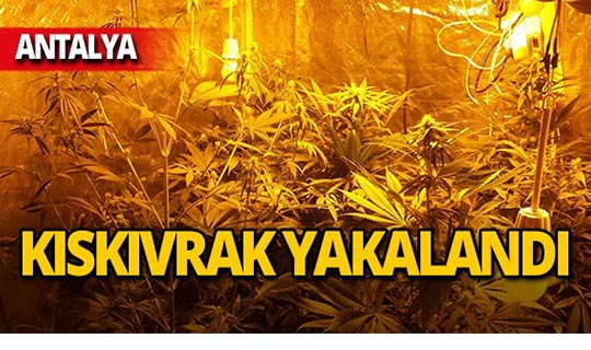 Antalya'da evine sera kurdu, kıskıvrak yakalandı!