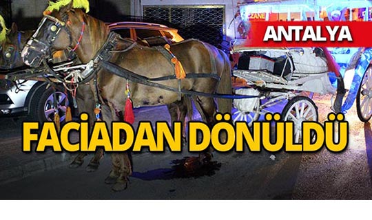 Antalya'da feci kaza : At kanlar içinde kaldı