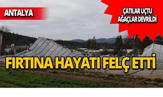 Antalya'da fırtına çatıları uçurdu, ağaçları devirdi!