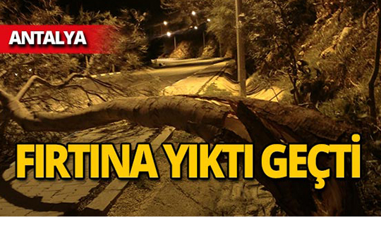 Antalya'da hasar fırtınadan sonra ortaya çıktı!