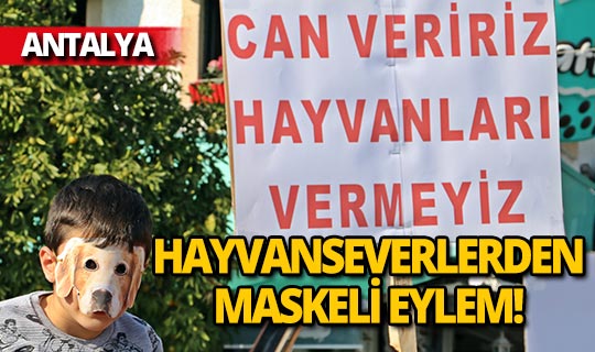 Antalya'da hayvan hakları için mücadele veriliyor