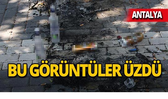 Antalya'da önce alkol aldılar, sonra zarar verdiler!