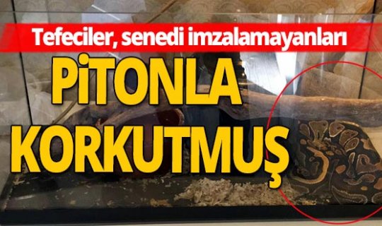 Antalya haber: Tefeciler, senedi imzalamayanların üzerine piton bırakmışlar