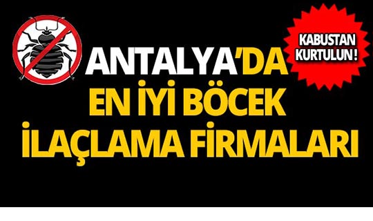 Antalya'nın en iyi böcek ilaçlama firmaları