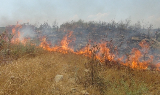 Antalya’da cezaevi inşaatı yakınında 3 buçuk dönüm arazi yandı