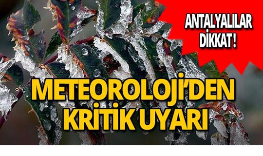 Antalyalılar dikkat! Meteoroloji'den don uyarısı!