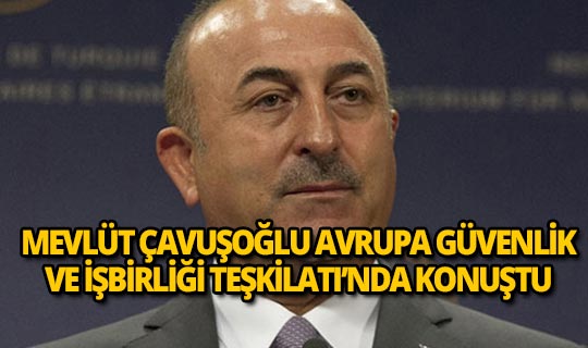 Bakan Çavuşoğlu, AGİT'te önemli açıklamalarda bulundu