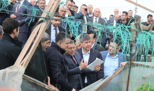 Bakan Pakdemirli: 'Finike ve Kumluca’da 5 bin dönüm örtü altı alan zarar gördü'