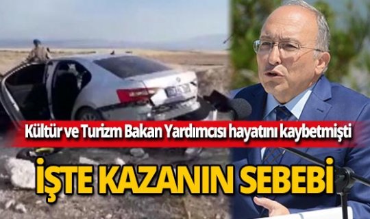 Bakan Yardımcısı'nın hayatını kaybettiği kazanın nedeni belli oldu