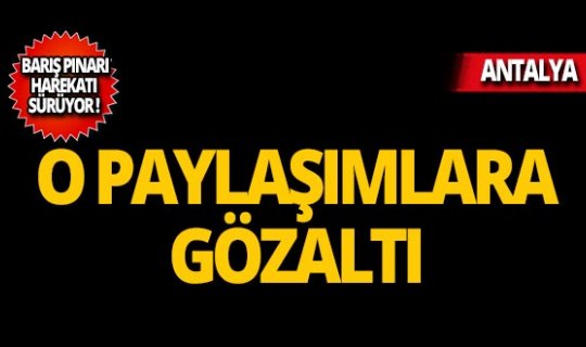 Barış Pınarı Harekatı'na ilişkin paylaşıma gözaltı!