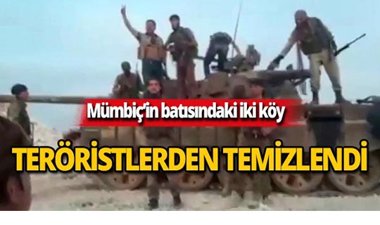 Barış Pınarı Harekatı'nda iki köy teröristlerden temizlendi