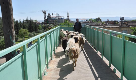 Bayrama iki gün kala ilginç görüntüler ortaya çıktı