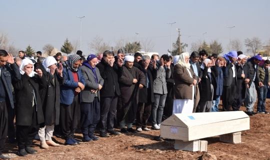 Berivan ailesine katkı sağlamak için mevsimlik tarım işçisi olmuş