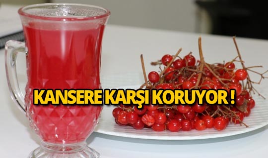 Bu meyve kansere karşı koruyor