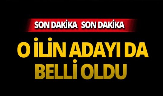 CHP'nin o ildeki adayı da belli oldu!