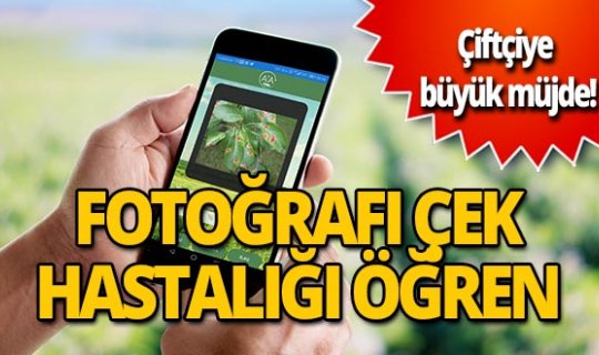 Çiftçiye büyük müjde! Ürünün hastalığını öğrenmek artık çok kolay