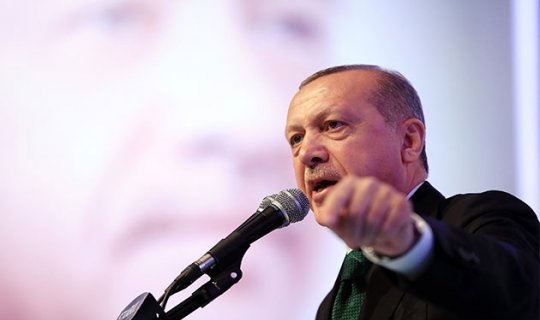 Cumhurbaşkanı Erdoğan, Ordu'da açıklamalarda bulundu