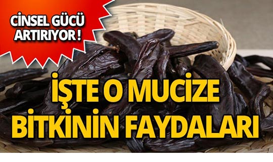 Dikkat! Cinsel gücü artıran ilaçlardan daha etkili!