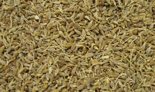 Ege’den 149 ülkeye ihraç edildi