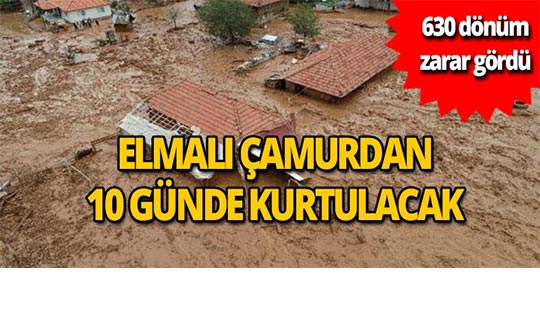 Elmalı sel felaketinin çamurundan 10 günde kurtulabilecek