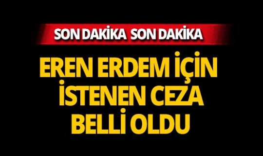 Eren Erdem hakkında istenen ceza belli oldu