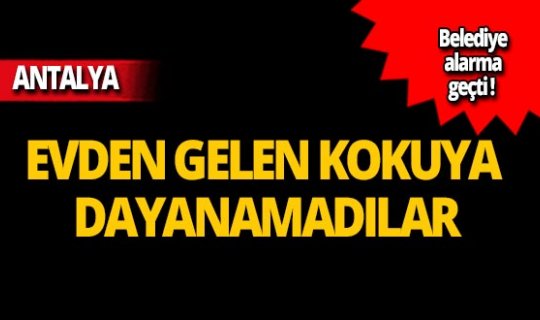 Evden gelen kötü koku ekipleri harekete geçirdi!