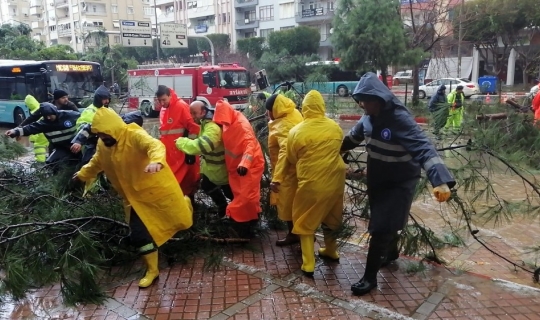 Fırtına ağaçları kökünden söktü, seyir halindeki otomobillerin üzerine devirdi