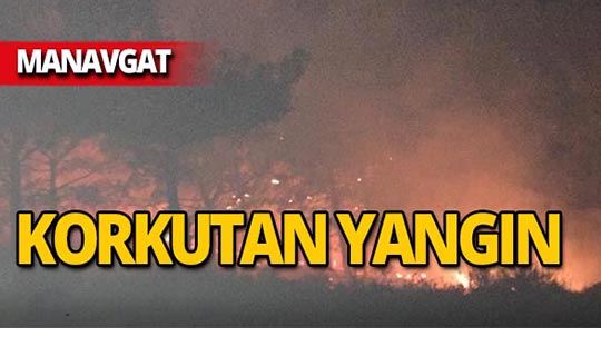 FLAŞ FLAŞ... Manavgat'ta orman yangını!