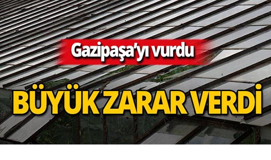Gazipaşa'da ceviz büyüklüğünde yağdı, büyük zarar verdi!