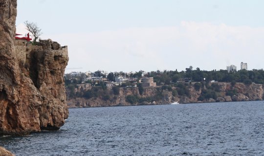 Haberi gören sahile koştu, avlanması uzun sürmedi